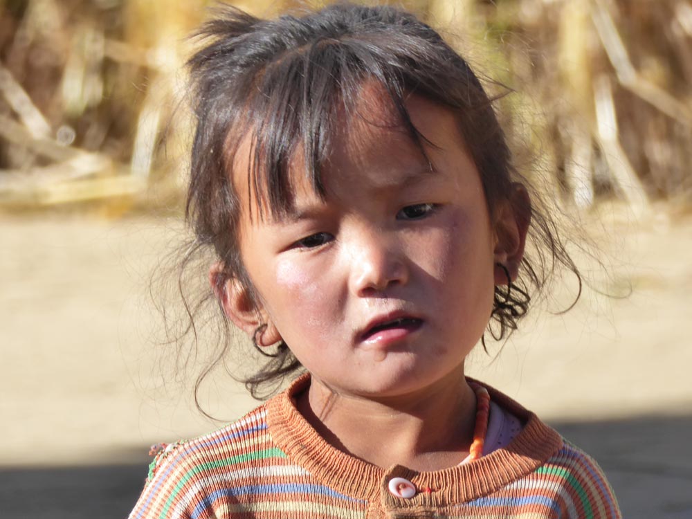 Tibet